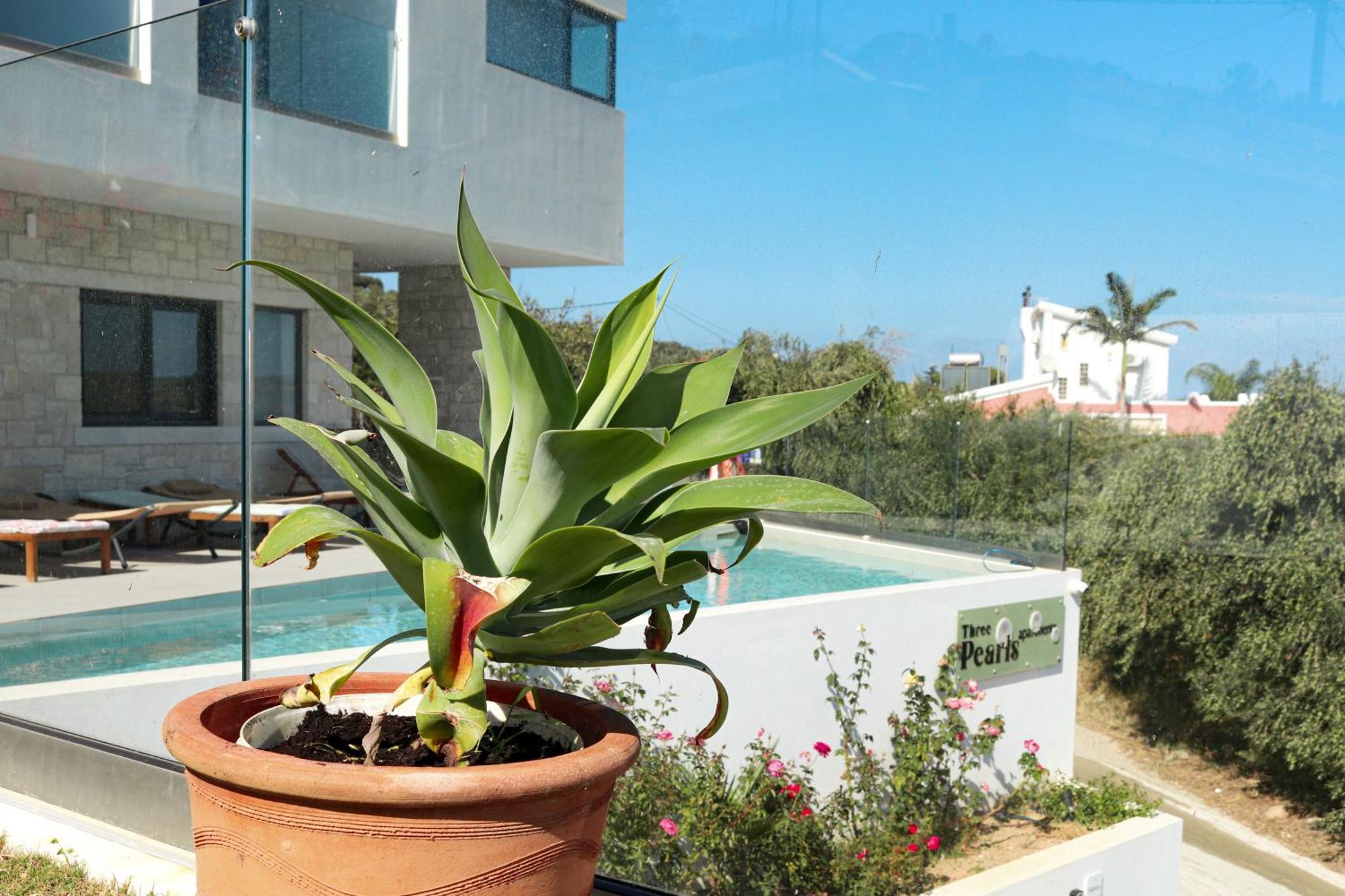 Cream Cozy Getaway - 3 Pearls Pool Retreat Apartment Dempla Exterior photo